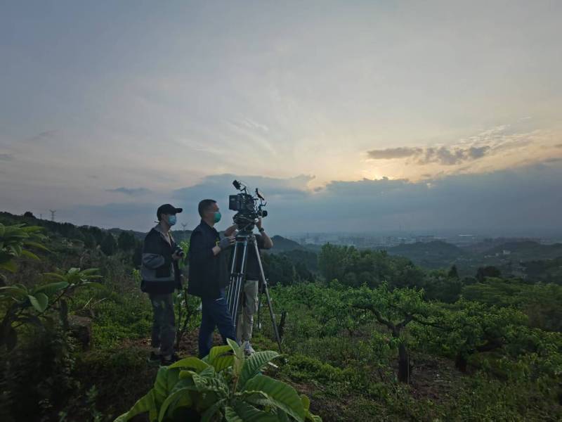 创意破圈！淮阴区电商产品宣传视频用故事化叙事引爆流量
