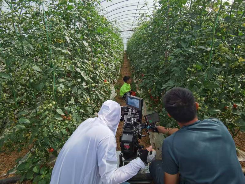 淮阴区产品宣传视频拍摄公司进阶指南，助力品牌抢占传播高地